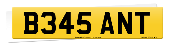 Registration number B345 ANT